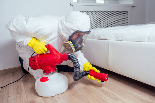 Best Flea Control Services  in Snohomish, WA