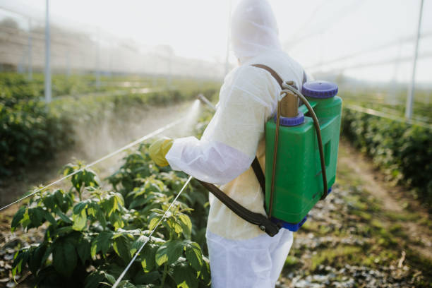 Flea Control Services in Snohomish, WA